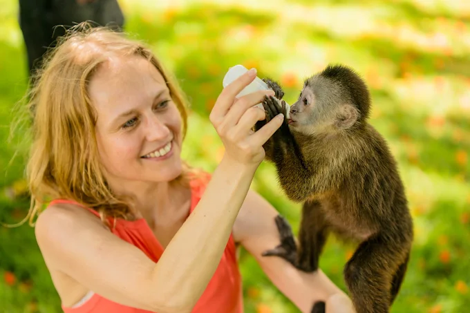 Monkey House